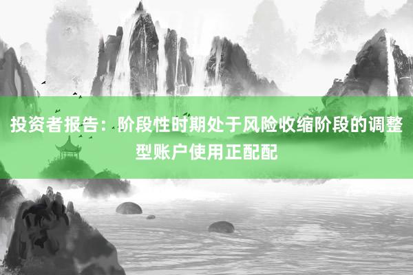 投资者报告：阶段性时期处于风险收缩阶段的调整型账户使用正配配
