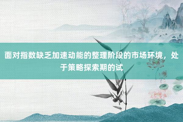 面对指数缺乏加速动能的整理阶段的市场环境，处于策略探索期的试