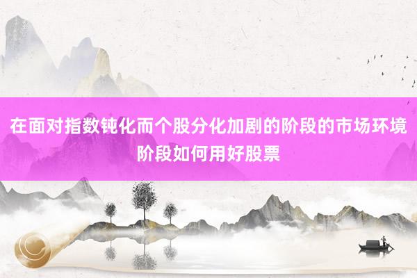 在面对指数钝化而个股分化加剧的阶段的市场环境阶段如何用好股票