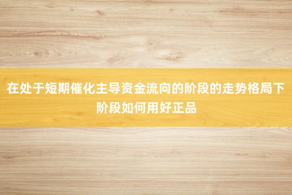 在处于短期催化主导资金流向的阶段的走势格局下阶段如何用好正品
