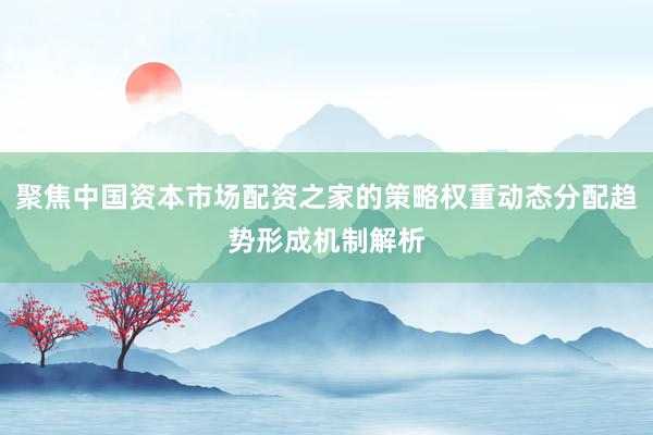 聚焦中国资本市场配资之家的策略权重动态分配趋势形成机制解析