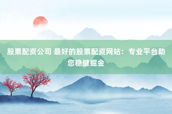 股票配资公司 最好的股票配资网站：专业平台助您稳健掘金