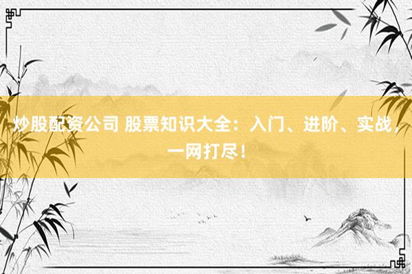 炒股配资公司 股票知识大全：入门、进阶、实战，一网打尽！