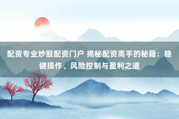 配资专业炒股配资门户 揭秘配资高手的秘籍：稳健操作、风险控制与盈利之道