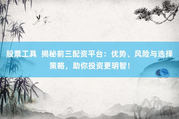 股票工具  揭秘前三配资平台：优势、风险与选择策略，助你投资更明智！
