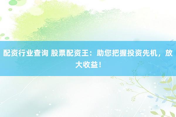 配资行业查询 股票配资王：助您把握投资先机，放大收益！