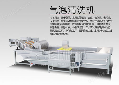 香瓜苦瓜清洗加工设备 水果清洗机